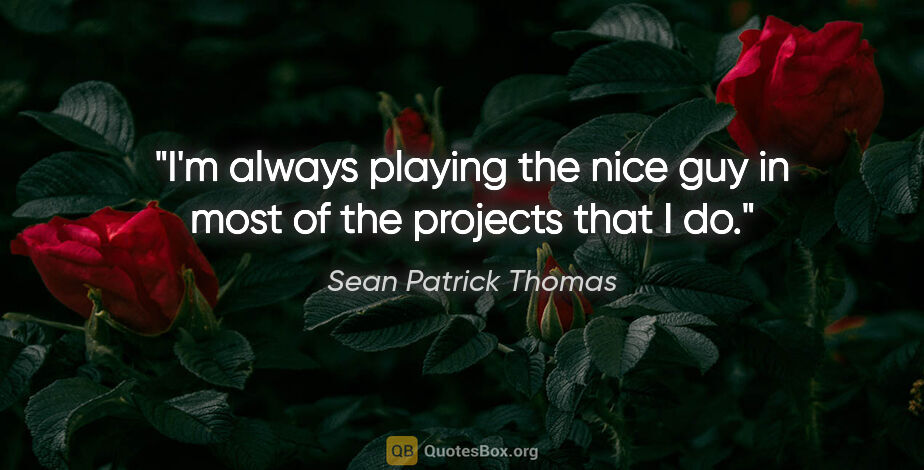 Sean Patrick Thomas quote: "I'm always playing the nice guy in most of the projects that I..."