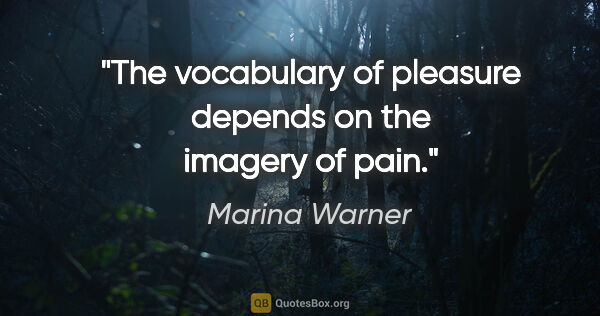 Marina Warner quote: "The vocabulary of pleasure depends on the imagery of pain."