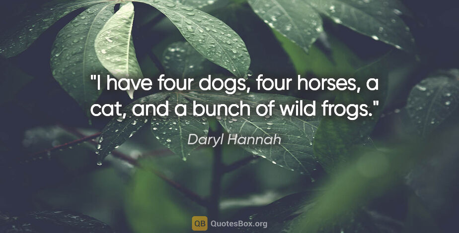 Daryl Hannah quote: "I have four dogs, four horses, a cat, and a bunch of wild frogs."