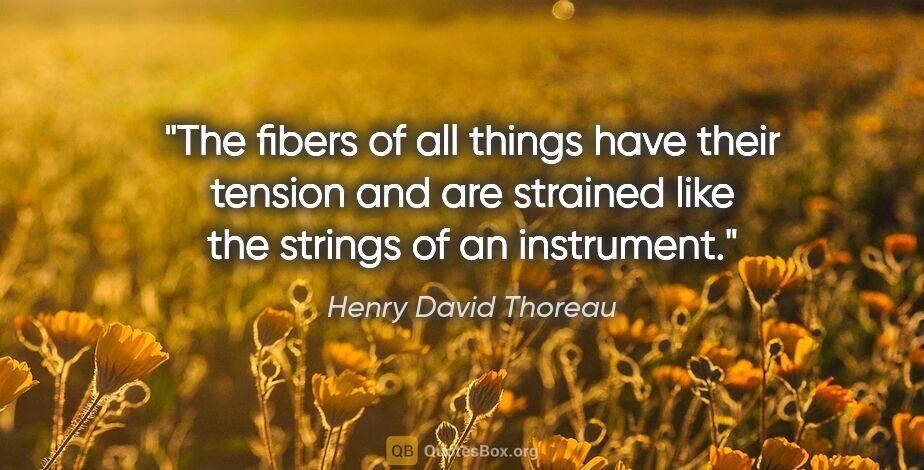 Henry David Thoreau quote: "The fibers of all things have their tension and are strained..."