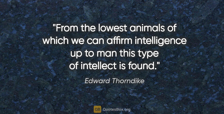 Edward Thorndike quote: "From the lowest animals of which we can affirm intelligence up..."