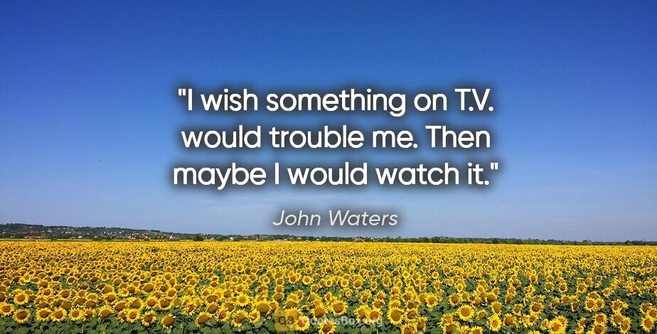 John Waters quote: "I wish something on T.V. would trouble me. Then maybe I would..."
