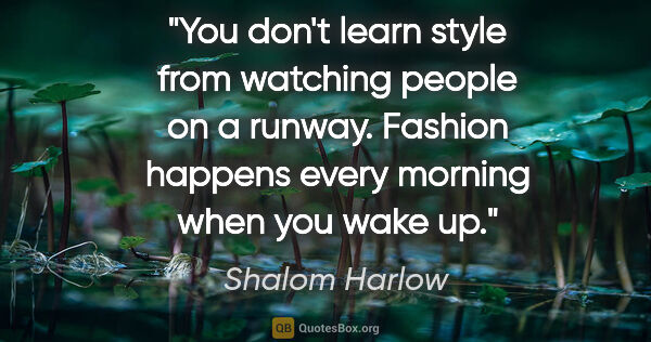 Shalom Harlow quote: "You don't learn style from watching people on a runway...."