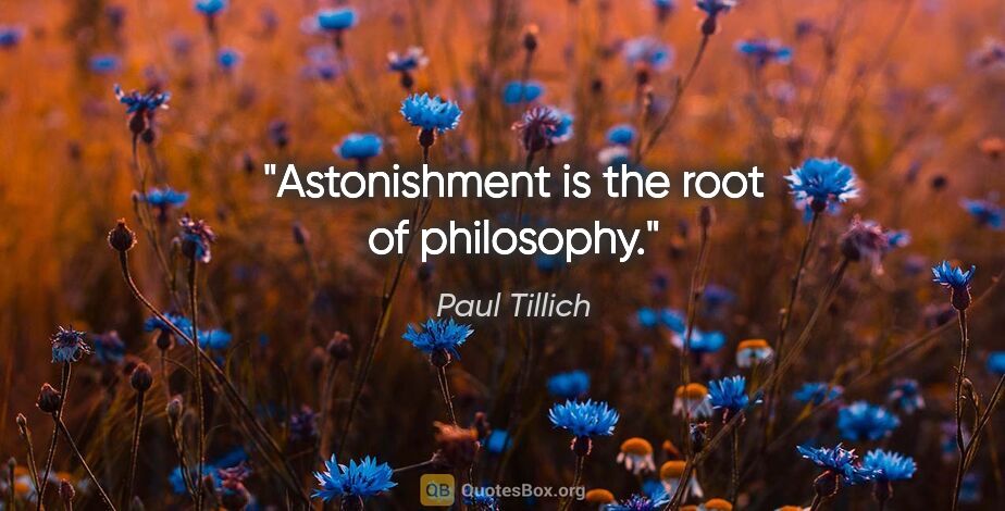 Paul Tillich quote: "Astonishment is the root of philosophy."