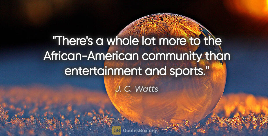 J. C. Watts quote: "There's a whole lot more to the African-American community..."