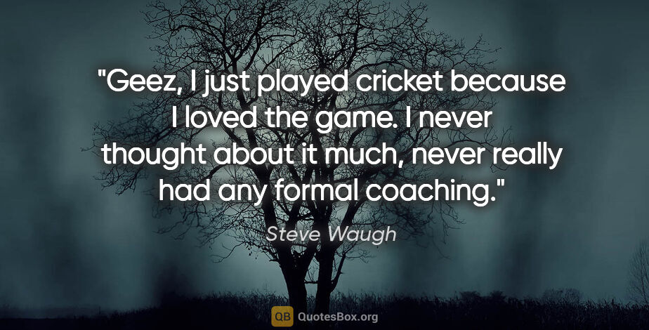 Steve Waugh quote: "Geez, I just played cricket because I loved the game. I never..."