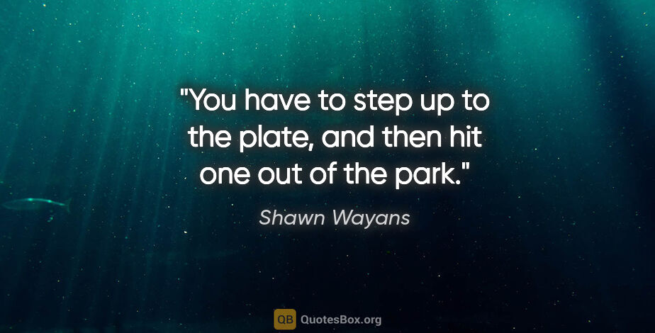 Shawn Wayans quote: "You have to step up to the plate, and then hit one out of the..."