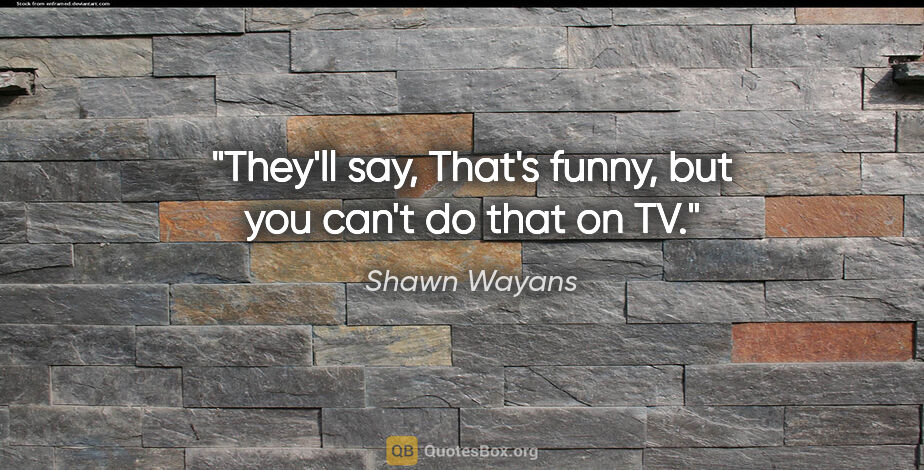 Shawn Wayans quote: "They'll say, That's funny, but you can't do that on TV."