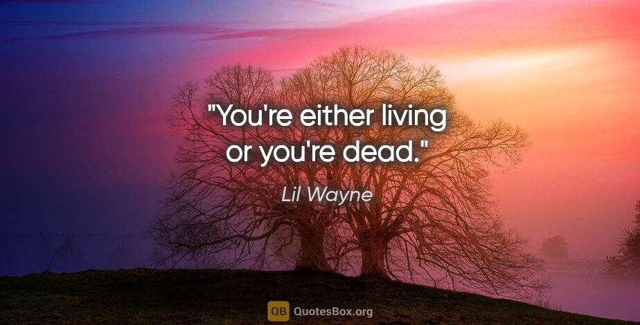 Lil Wayne quote: "You're either living or you're dead."