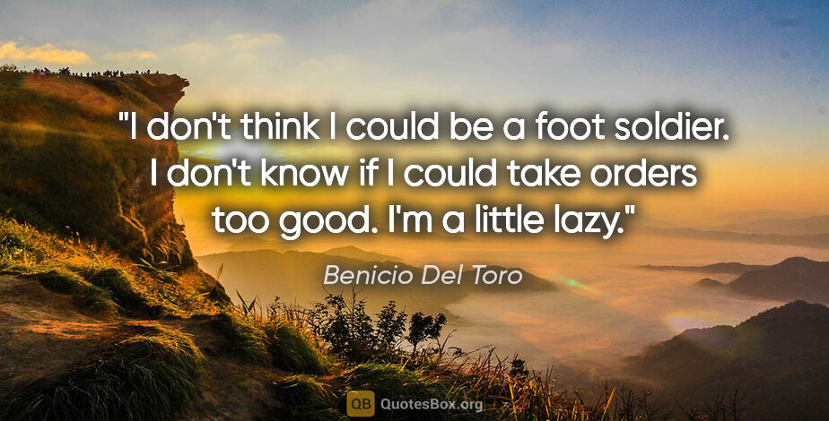 Benicio Del Toro quote: "I don't think I could be a foot soldier. I don't know if I..."