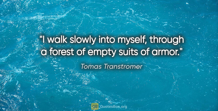 Tomas Transtromer quote: "I walk slowly into myself, through a forest of empty suits of..."