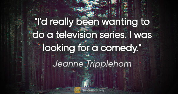 Jeanne Tripplehorn quote: "I'd really been wanting to do a television series. I was..."