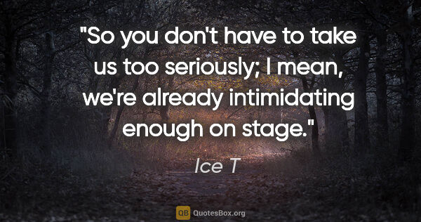 Ice T quote: "So you don't have to take us too seriously; I mean, we're..."