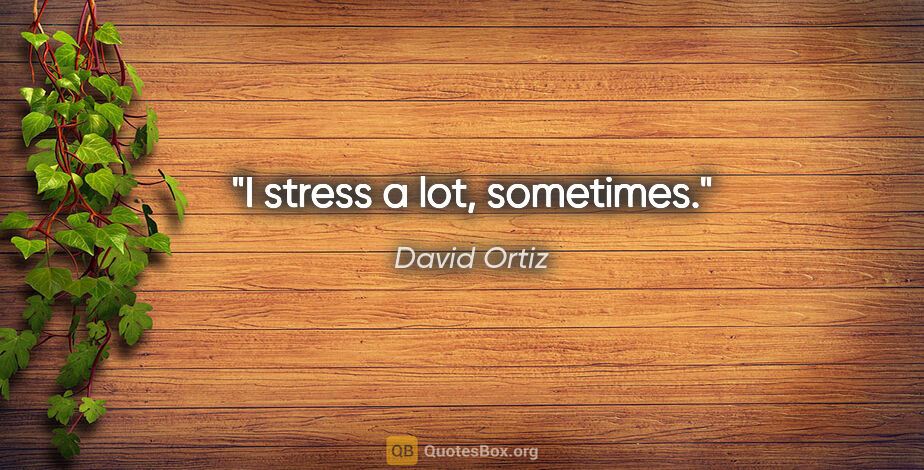 David Ortiz quote: "I stress a lot, sometimes."