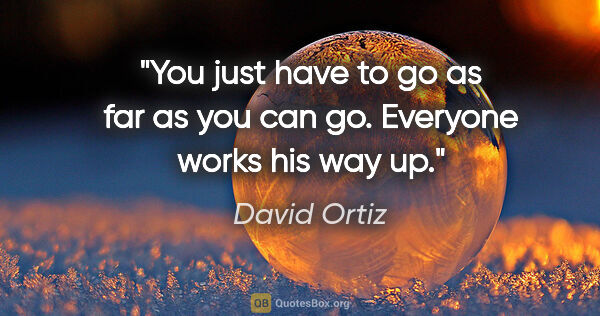 David Ortiz quote: "You just have to go as far as you can go. Everyone works his..."