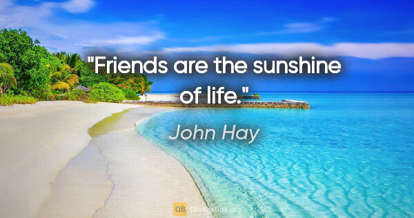 John Hay quote: "Friends are the sunshine of life."