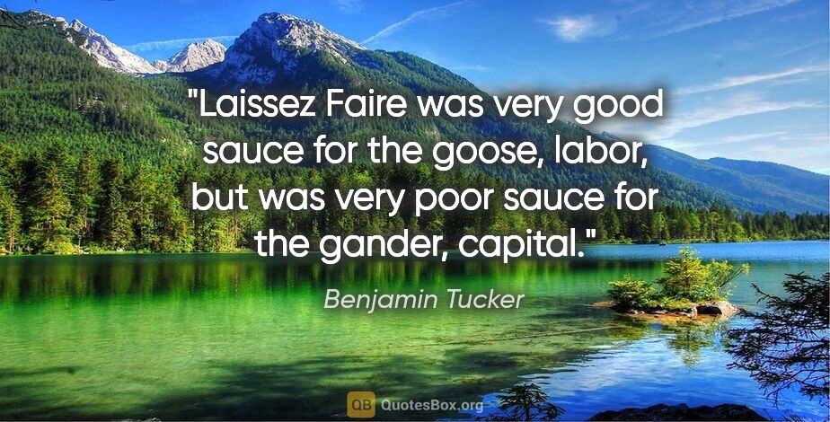 Benjamin Tucker quote: "Laissez Faire was very good sauce for the goose, labor, but..."