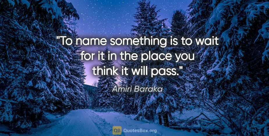 Amiri Baraka quote: "To name something is to wait for it in the place you think it..."