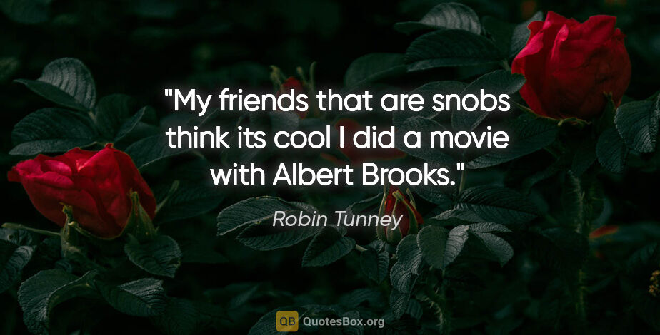 Robin Tunney quote: "My friends that are snobs think its cool I did a movie with..."