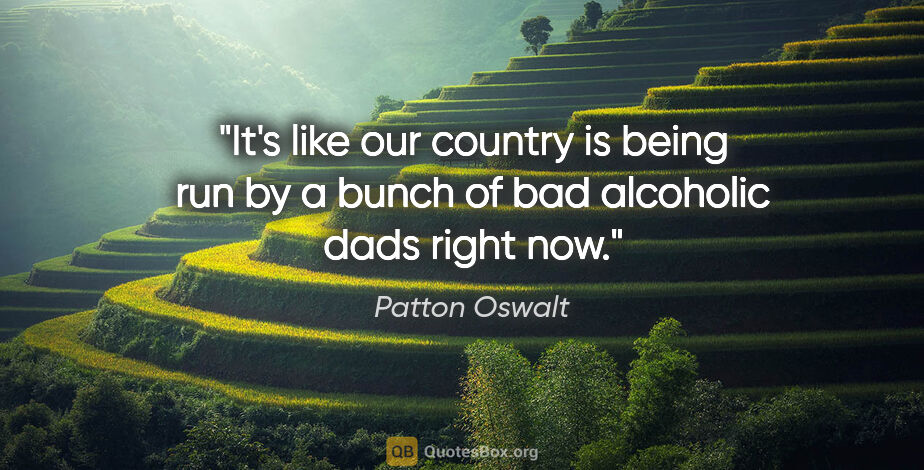 Patton Oswalt quote: "It's like our country is being run by a bunch of bad alcoholic..."