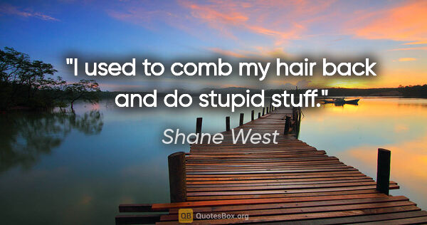 Shane West quote: "I used to comb my hair back and do stupid stuff."