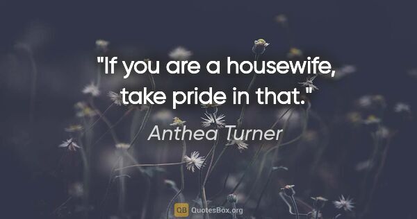 Anthea Turner quote: "If you are a housewife, take pride in that."