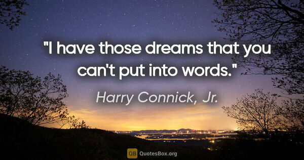 Harry Connick, Jr. quote: "I have those dreams that you can't put into words."