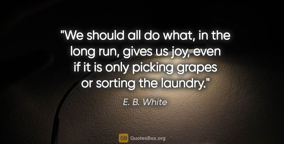 E. B. White quote: "We should all do what, in the long run, gives us joy, even if..."