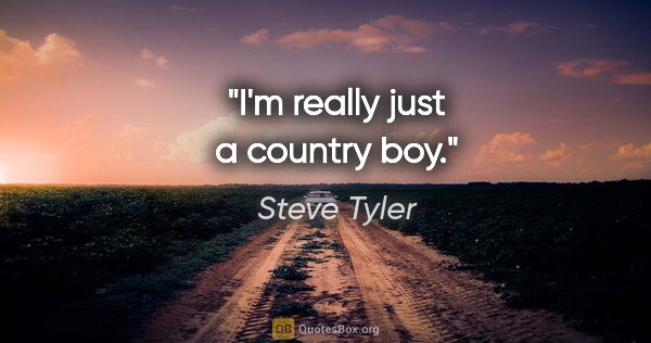 Steve Tyler quote: "I'm really just a country boy."