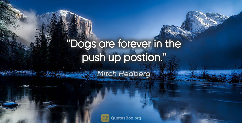 Mitch Hedberg quote: "Dogs are forever in the push up postion."