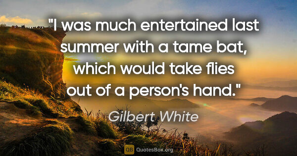 Gilbert White quote: "I was much entertained last summer with a tame bat, which..."
