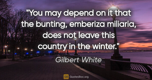 Gilbert White quote: "You may depend on it that the bunting, emberiza miliaria, does..."