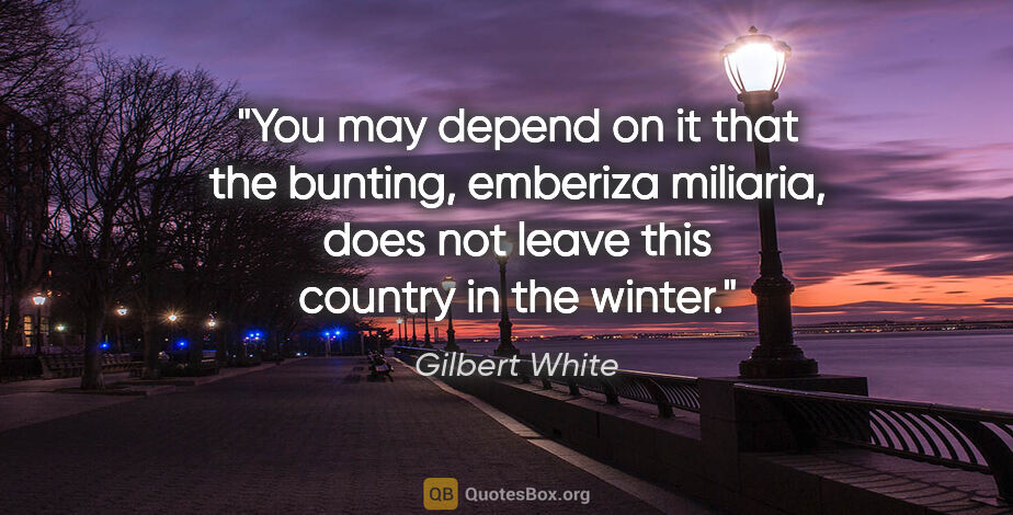Gilbert White quote: "You may depend on it that the bunting, emberiza miliaria, does..."