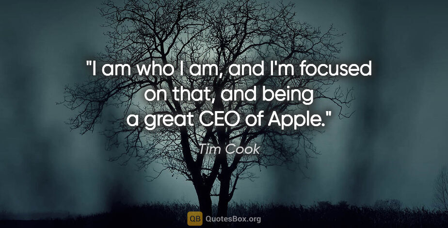 Tim Cook quote: "I am who I am, and I'm focused on that, and being a great CEO..."