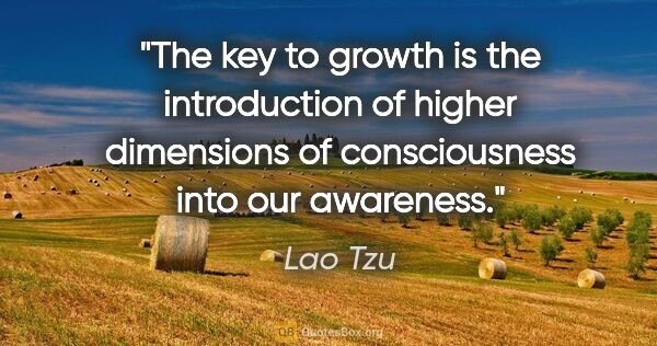 Lao Tzu quote: "The key to growth is the introduction of higher dimensions of..."