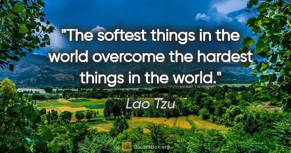 Lao Tzu quote: "The softest things in the world overcome the hardest things in..."
