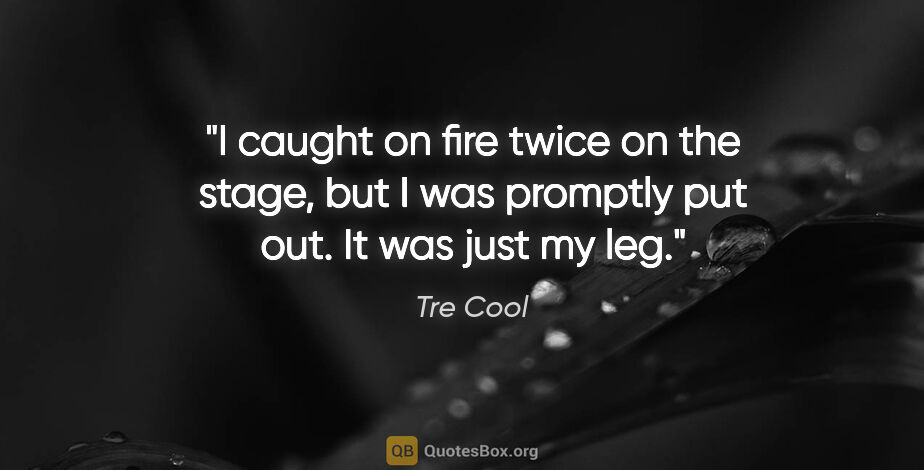 Tre Cool quote: "I caught on fire twice on the stage, but I was promptly put..."