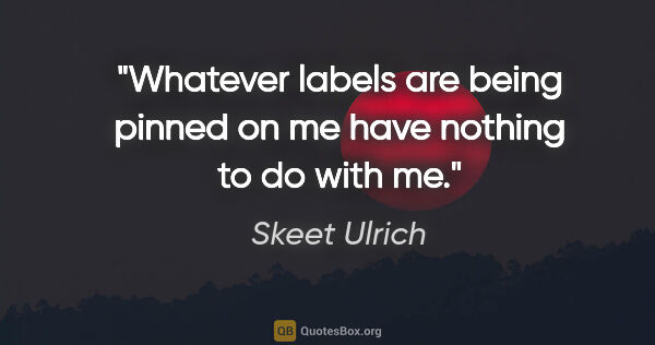 Skeet Ulrich quote: "Whatever labels are being pinned on me have nothing to do with..."