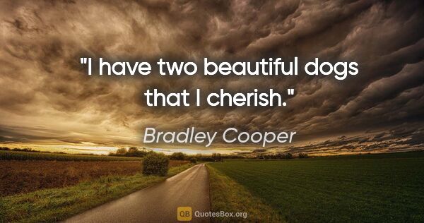 Bradley Cooper quote: "I have two beautiful dogs that I cherish."