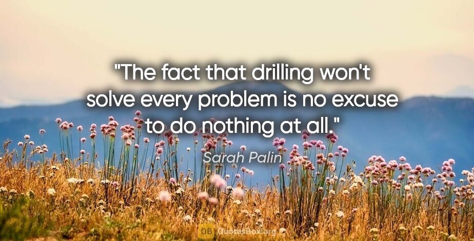 Sarah Palin quote: "The fact that drilling won't solve every problem is no excuse..."
