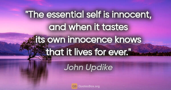 John Updike quote: "The essential self is innocent, and when it tastes its own..."