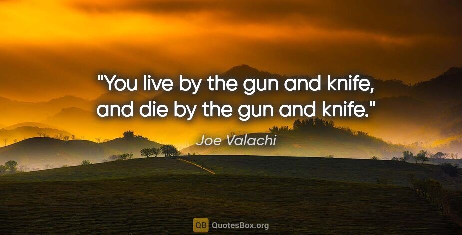 Joe Valachi quote: "You live by the gun and knife, and die by the gun and knife."