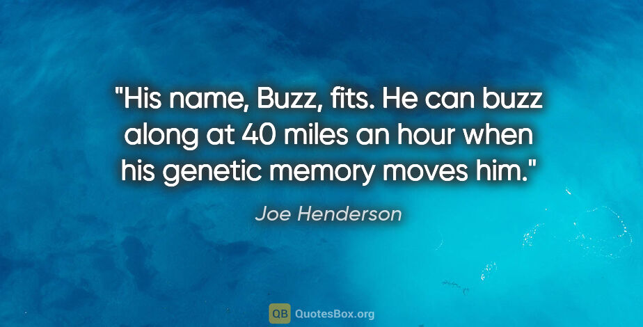 Joe Henderson quote: "His name, Buzz, fits. He can buzz along at 40 miles an hour..."