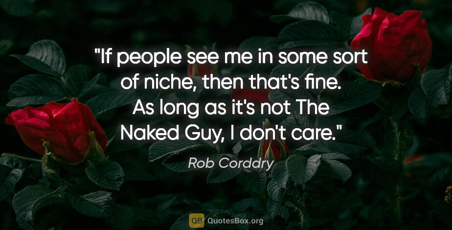 Rob Corddry quote: "If people see me in some sort of niche, then that's fine. As..."