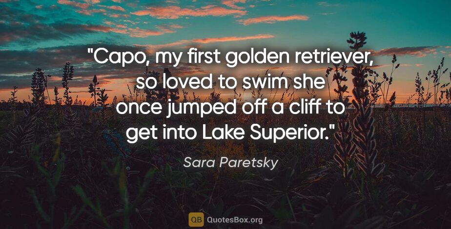 Sara Paretsky quote: "Capo, my first golden retriever, so loved to swim she once..."