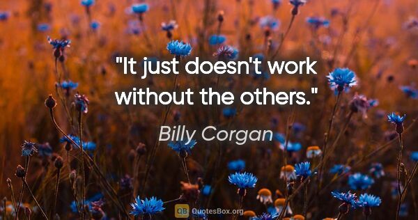 Billy Corgan quote: "It just doesn't work without the others."