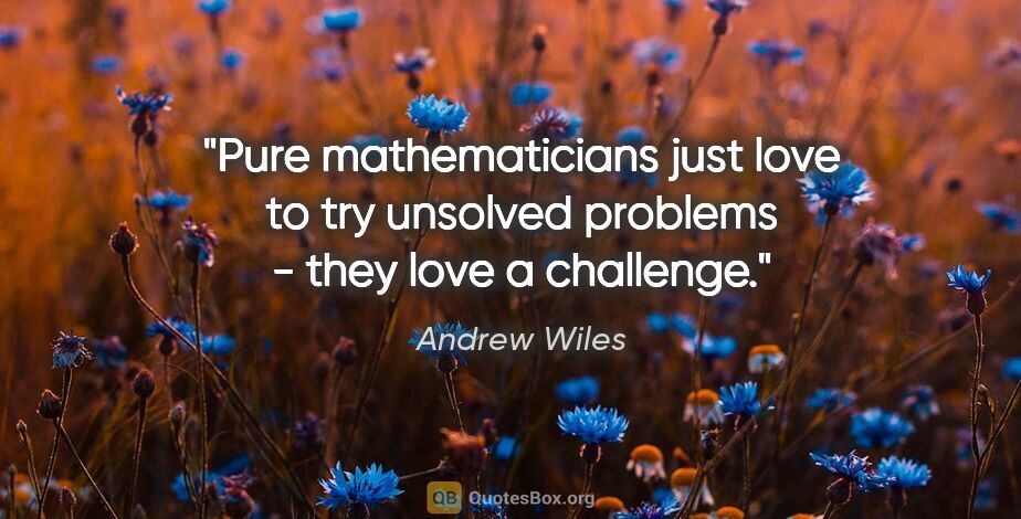 Andrew Wiles quote: "Pure mathematicians just love to try unsolved problems - they..."