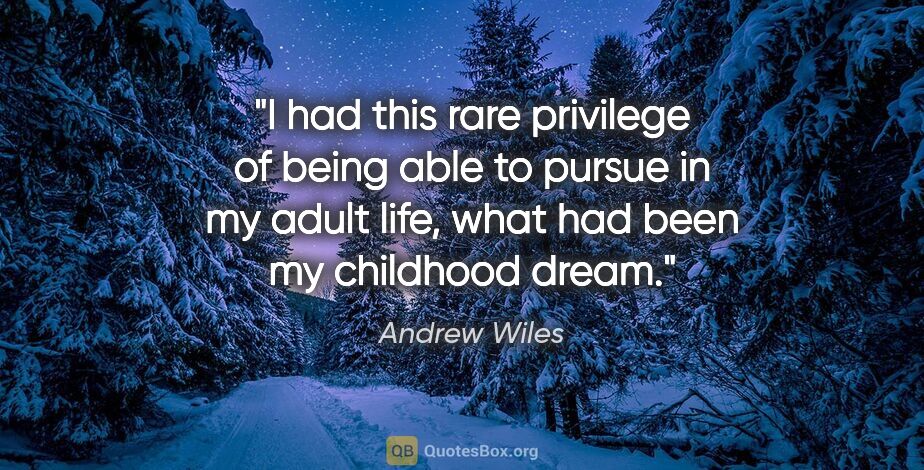 Andrew Wiles quote: "I had this rare privilege of being able to pursue in my adult..."