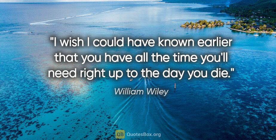 William Wiley quote: "I wish I could have known earlier that you have all the time..."