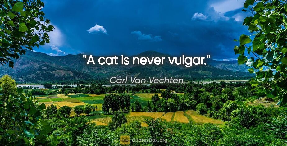 Carl Van Vechten quote: "A cat is never vulgar."